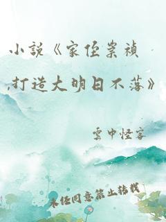 小说《家侄崇祯,打造大明日不落》