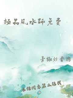 极品风水师免费