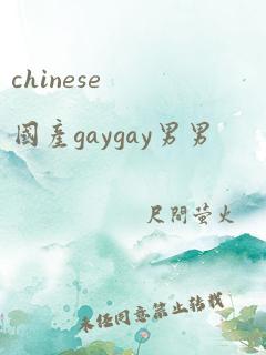 chinese国产gaygay男男