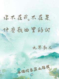 你不在我不在是什么歌曲里的词