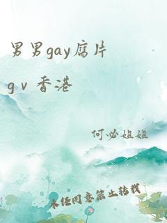 男男gay腐片gⅴ香港