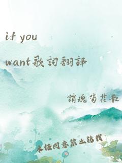 if you want歌词翻译