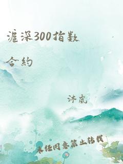 沪深300指数合约