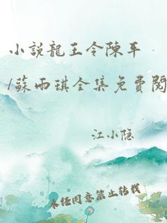 小说龙王令陈平/苏雨琪全集免费阅读