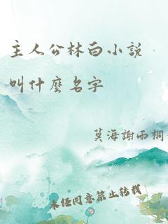 主人公林白小说叫什么名字