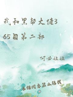 我和黑帮大佬365日第二部