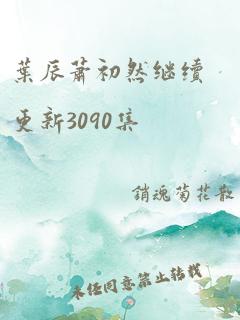 叶辰萧初然继续更新3090集