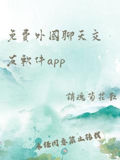 免费外国聊天交友软件app