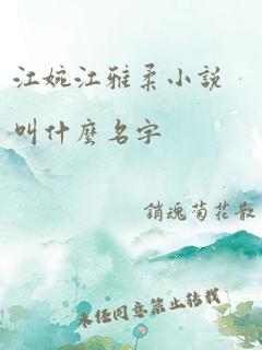 江婉江雅柔小说叫什么名字