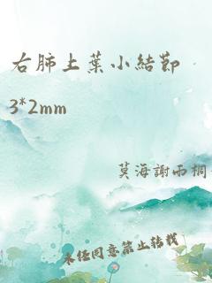 右肺上叶小结节3*2mm