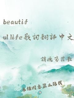 beautiful life歌词翻译中文