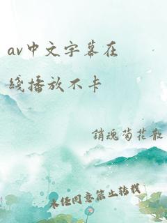 av中文字幕在线播放不卡