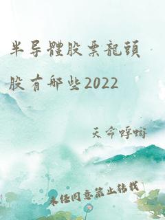 半导体股票龙头股有哪些2022