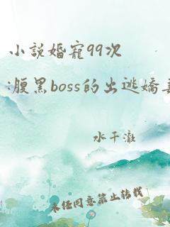 小说婚宠99次:腹黑boss的出逃娇妻