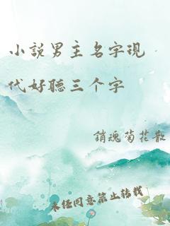 小说男主名字现代好听三个字