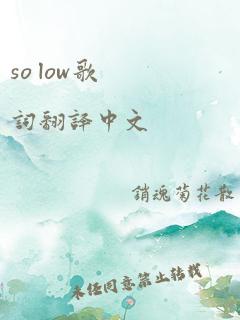 so low歌词翻译中文