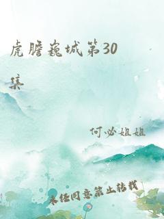 虎胆巍城第30集