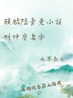 顾麟陆青尧小说叫什么名字