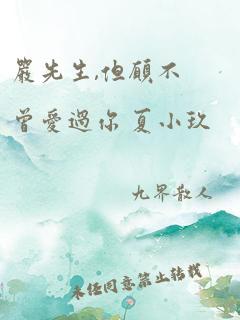 严先生,但愿不曾爱过你 夏小玖