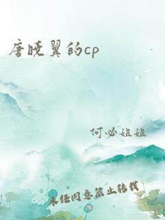 唐晓翼的cp