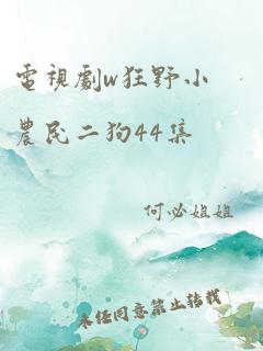 电视剧w狂野小农民二狗44集