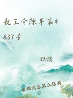 龙王令陈平第4837章