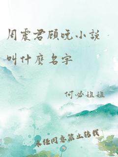 周震君顾晚小说叫什么名字