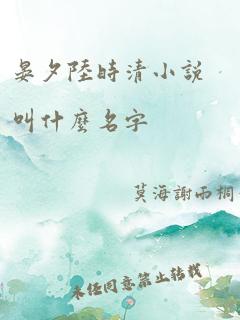 晏夕陆时清小说叫什么名字