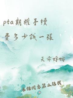 pta期权手续费多少钱一张