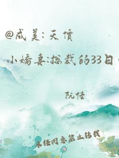 @成美: 天价小娇妻:总裁的33日索情