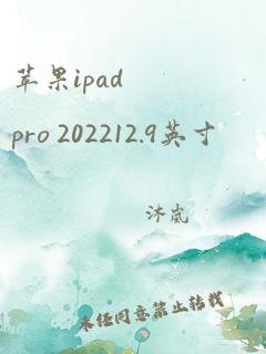 苹果ipad pro 202212.9英寸