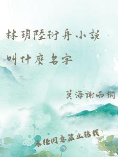 林玥陆衍舟小说叫什么名字