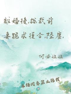 离婚后,总裁前妻跪求复合,陆尘,