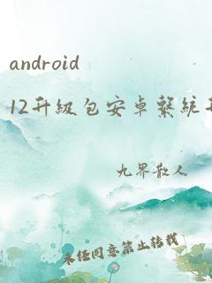 android12升级包安卓系统升级