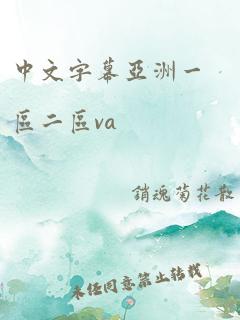 中文字幕亚洲一区二区va