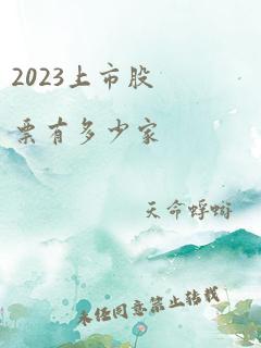 2023上市股票有多少家