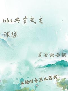 nba共有几支球队