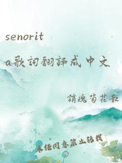 senorita歌词翻译成中文