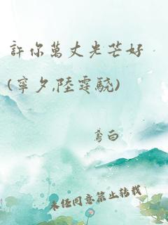 许你万丈光芒好(宁夕,陆霆骁)