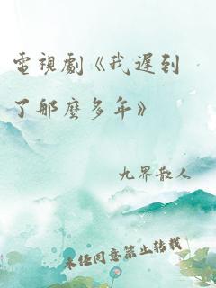 电视剧《我迟到了那么多年》