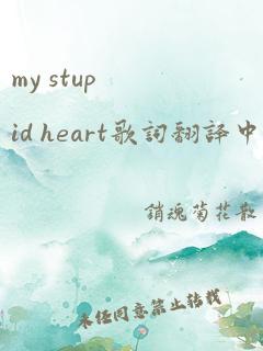 my stupid heart歌词翻译中文