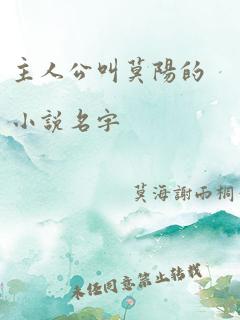 主人公叫莫阳的小说名字