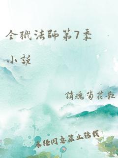 全职法师第7季小说