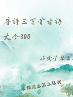 唐诗三百首古诗大全300