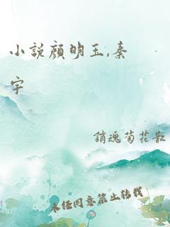 小说颜明玉,秦宇