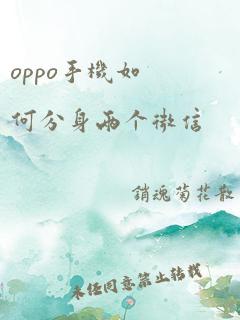 oppo手机如何分身两个微信