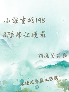 小说重返1988陆峰江晓燕