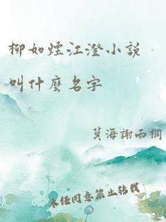 柳如烟江澄小说叫什么名字