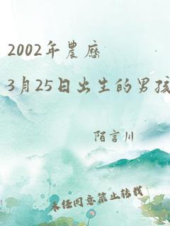 2002年农历3月25日出生的男孩命运