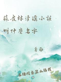 苏夜林清瑶小说叫什么名字